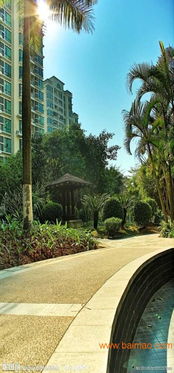 北京小區(qū)園林綠化工程施工全解析 專業(yè)公司、可靠生產(chǎn)與合理價(jià)格